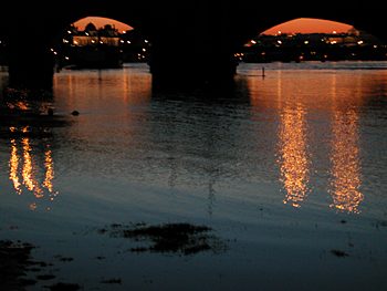 Albertbrücke Dresden