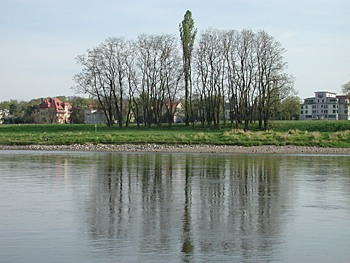 Elbe Dresden Blasewitz