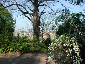 Marienbrücke Dresden