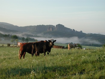 Schrammsteine und Falkenstein von Altendorf